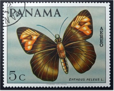 Postage stamp Panama 1968 Skipper Butterfly